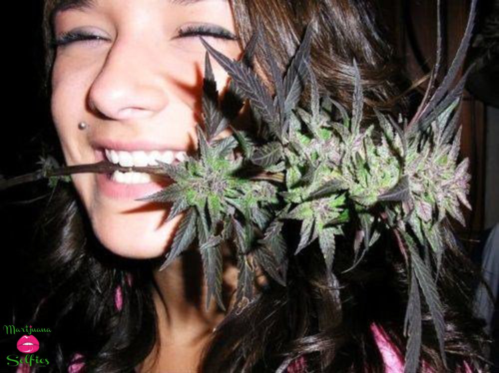 Janet Dahl Selfie No. 3222 - VOTE for this Marijuana Selfie!