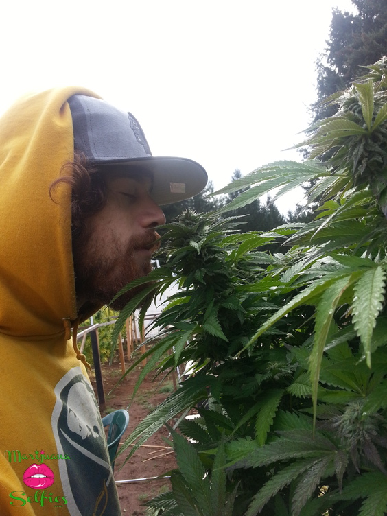 Earl OfBlunt Selfie No. 395 - VOTE for this Marijuana Selfie!