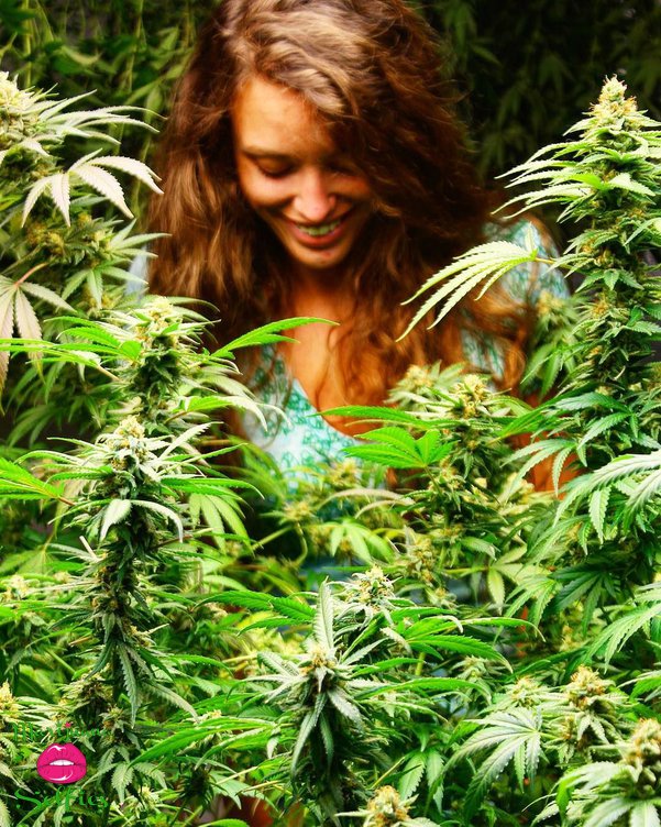 фото девушки марихуаны