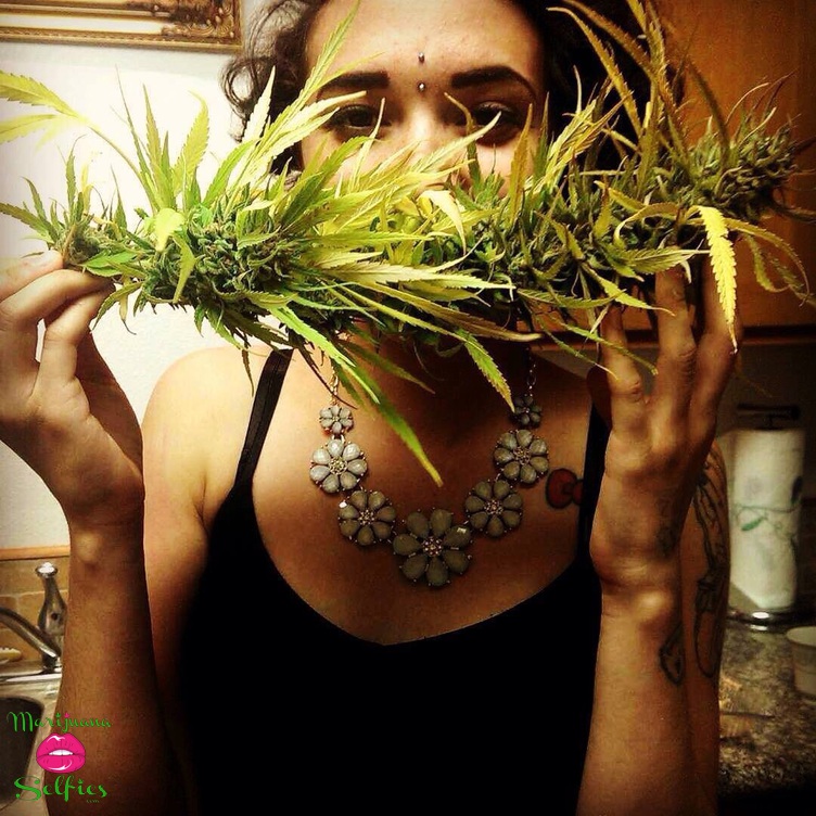Kelly Rider Selfie No. 556 - VOTE for this Marijuana Selfie!